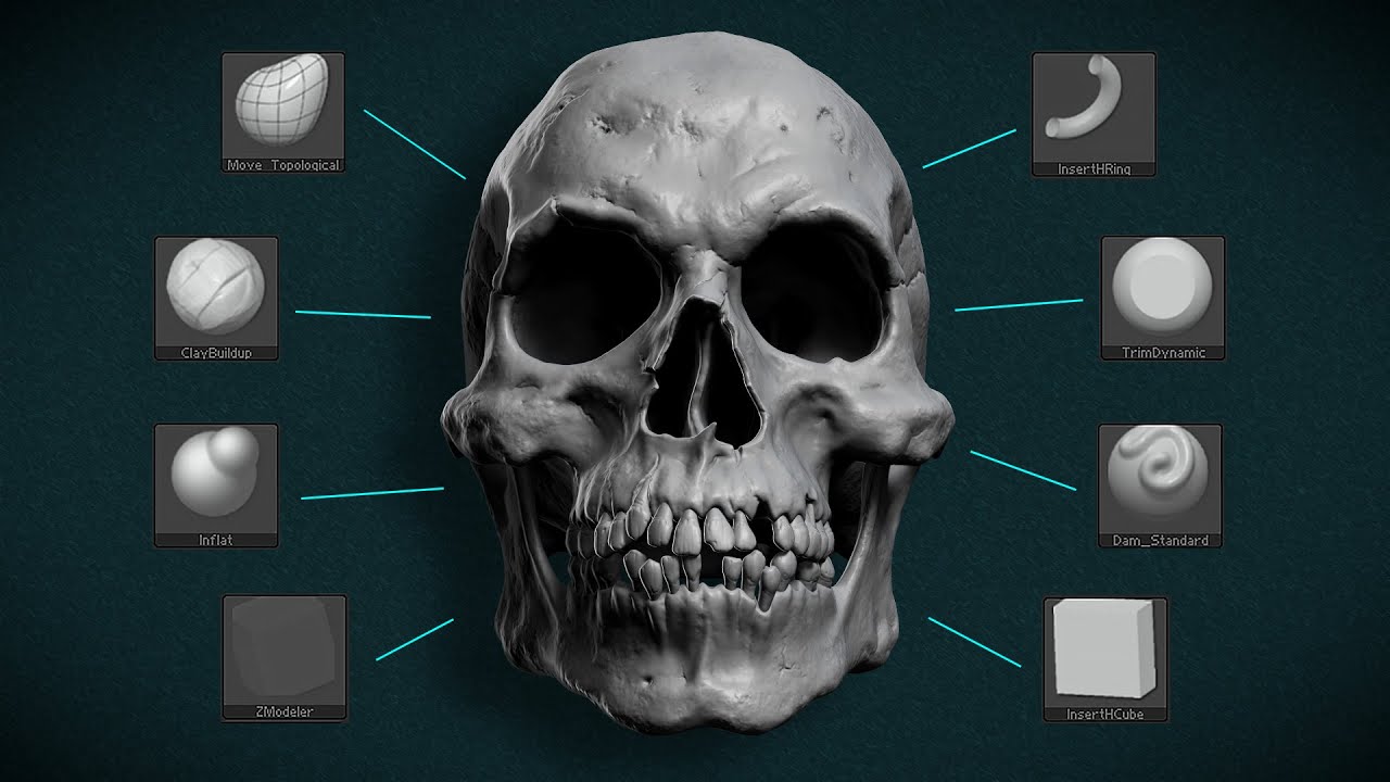 Aprenda a modelar caveiras realistas no ZBrush
