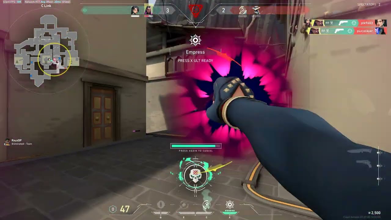 turtle peek