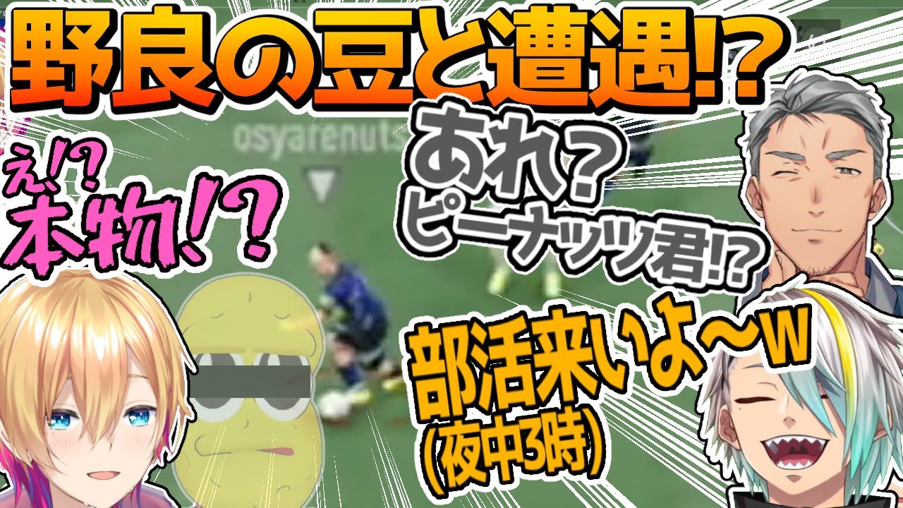 夜中に自主練してたら野良のピーナッツ君とマッチした歌衣メイカ【Vtuberサッカー部】