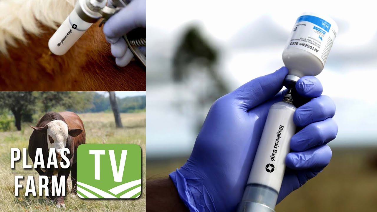 WITWARM NUUS! Design Biologix mag as agent vir BEK-entstof optree