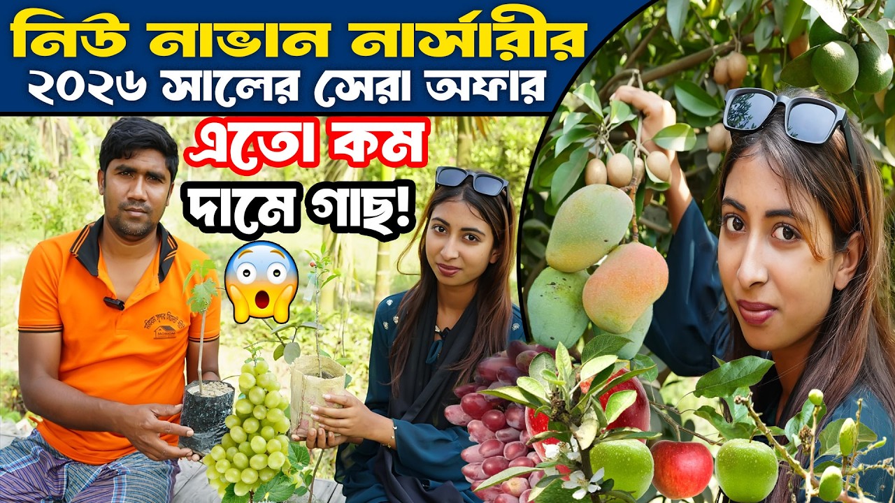 নিউ নাভান নার্সারীর ২০২৬ সালের সেরা অফার | এতো কম দামে গাছ ! New Navan Nursery Offer 2026