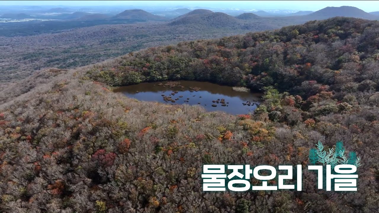 가을단풍 그라데이션 | 오늘숲에는 | 물장오리 가을 | KBS제주 251202 방송