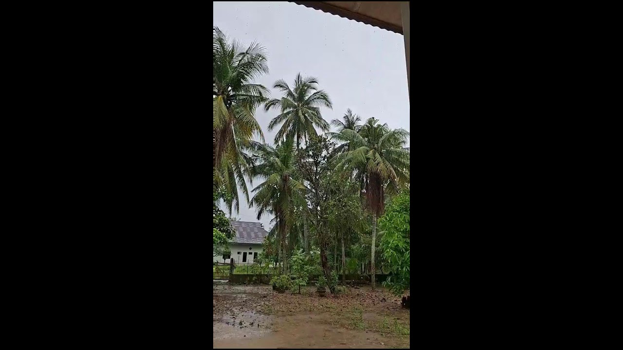 Rain ASMR