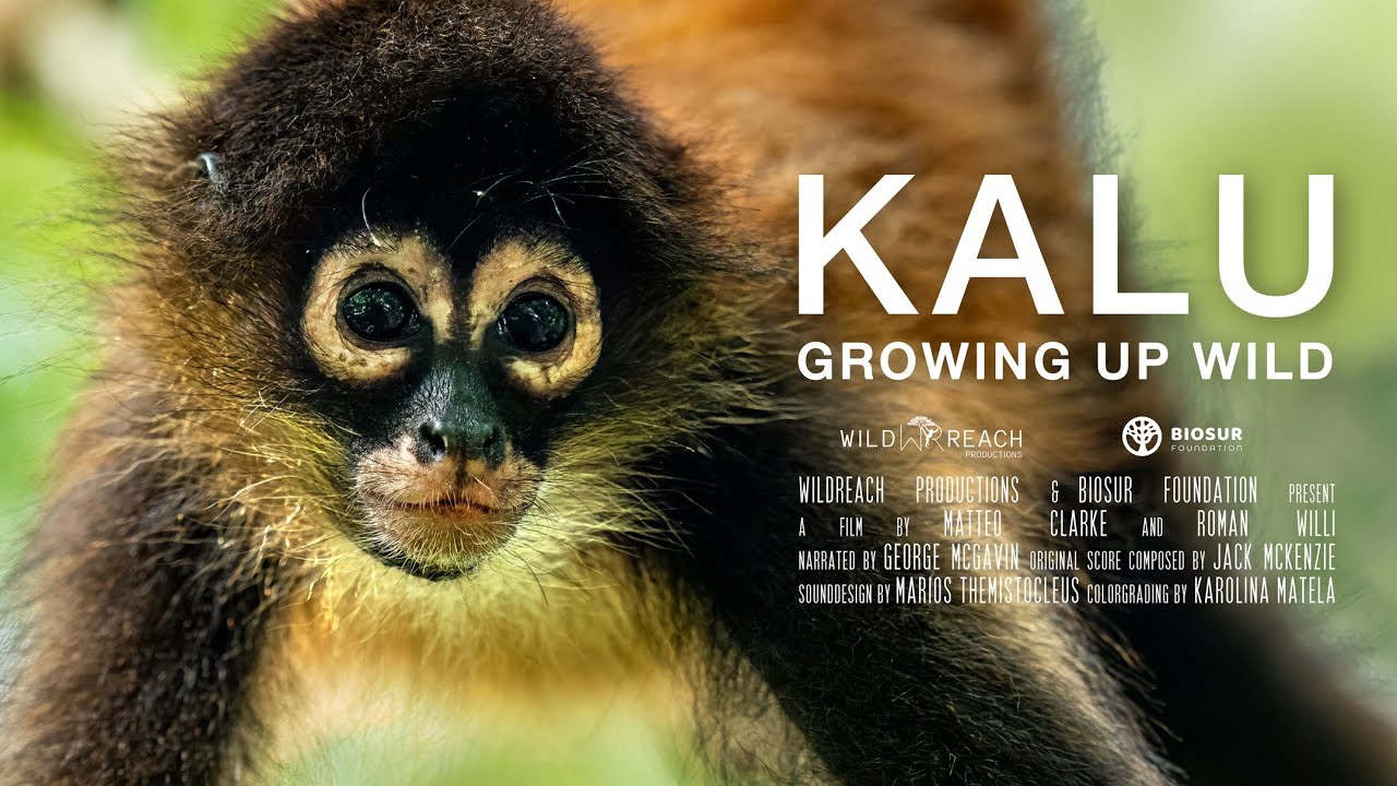 KALU: Growing Up Wild (2023) - Full Short Documentary