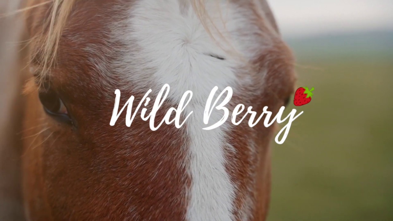 Berry lebt sich ein...