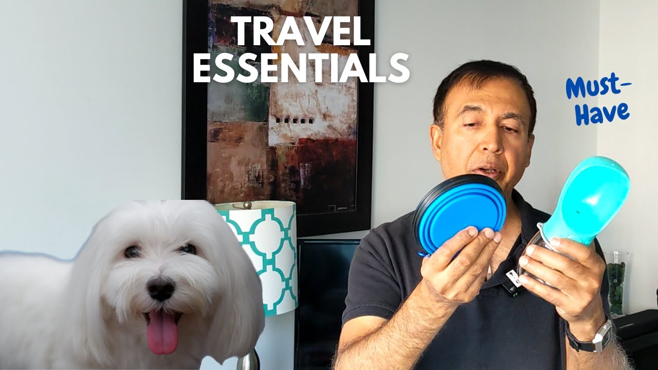🐕 Must-Have Dog Travel Gear: Leakproof Water Bottle & Collapsible Bowls