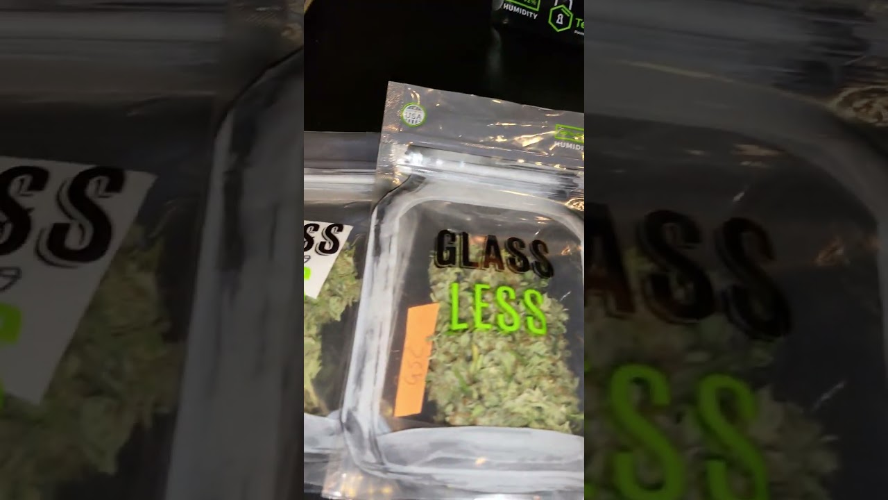 final ilgm harvest dry weight GSC, Cherry pie, Harley Quinn (ilgm)