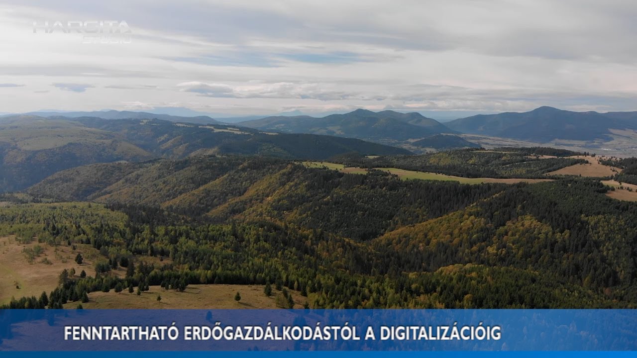 Fenntartható erdőgazdálkodástól a digitalizációig