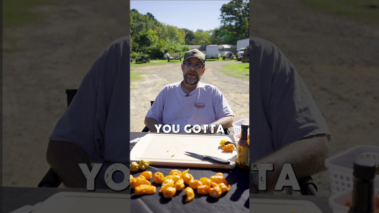 Extreme heats in hot sauce: Pure capsaicin VS Chemical heat