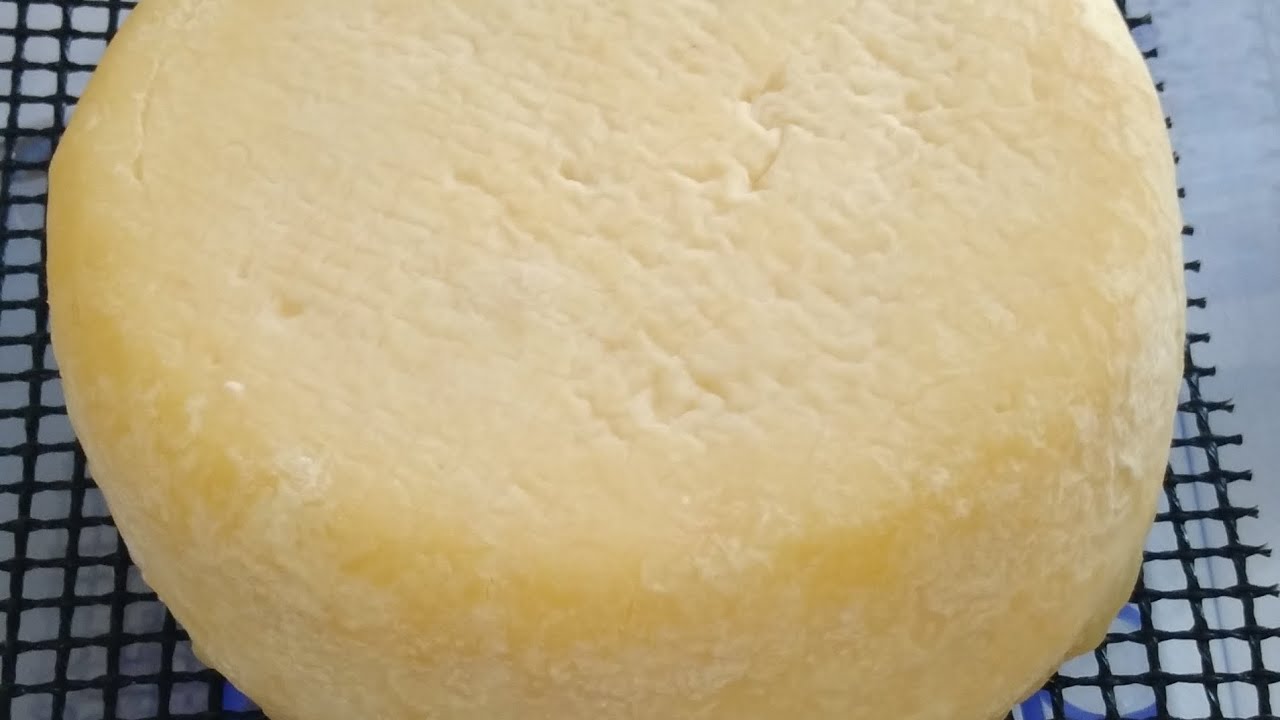 Affinage de mon gouda sans cire ni sac sous vide..