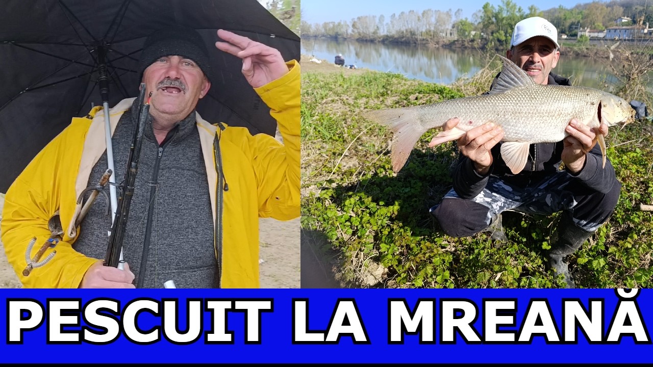 PESCUIT CU NANGĂ DE LA G&Acirc;RLA MARE