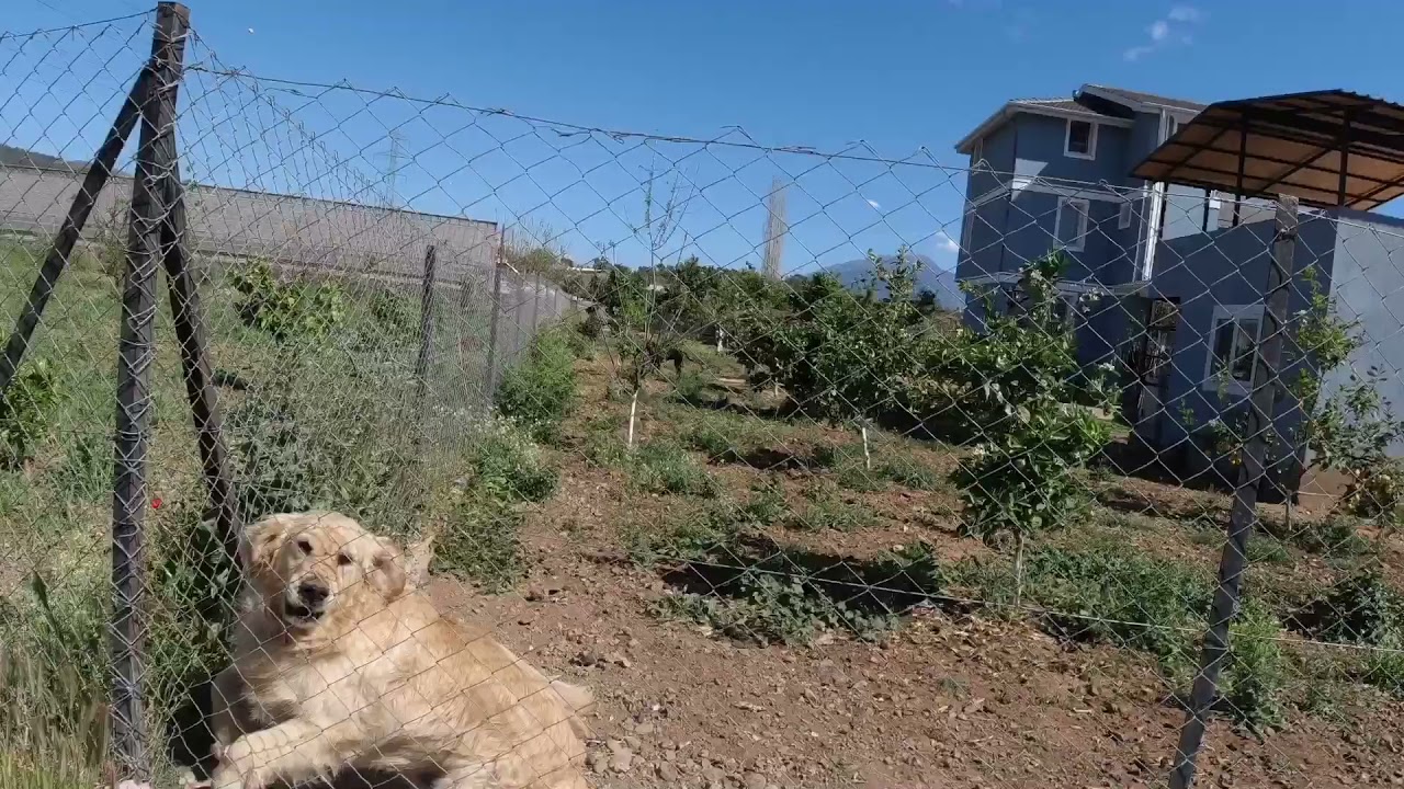 Fethiye’nin kargı mahallesi