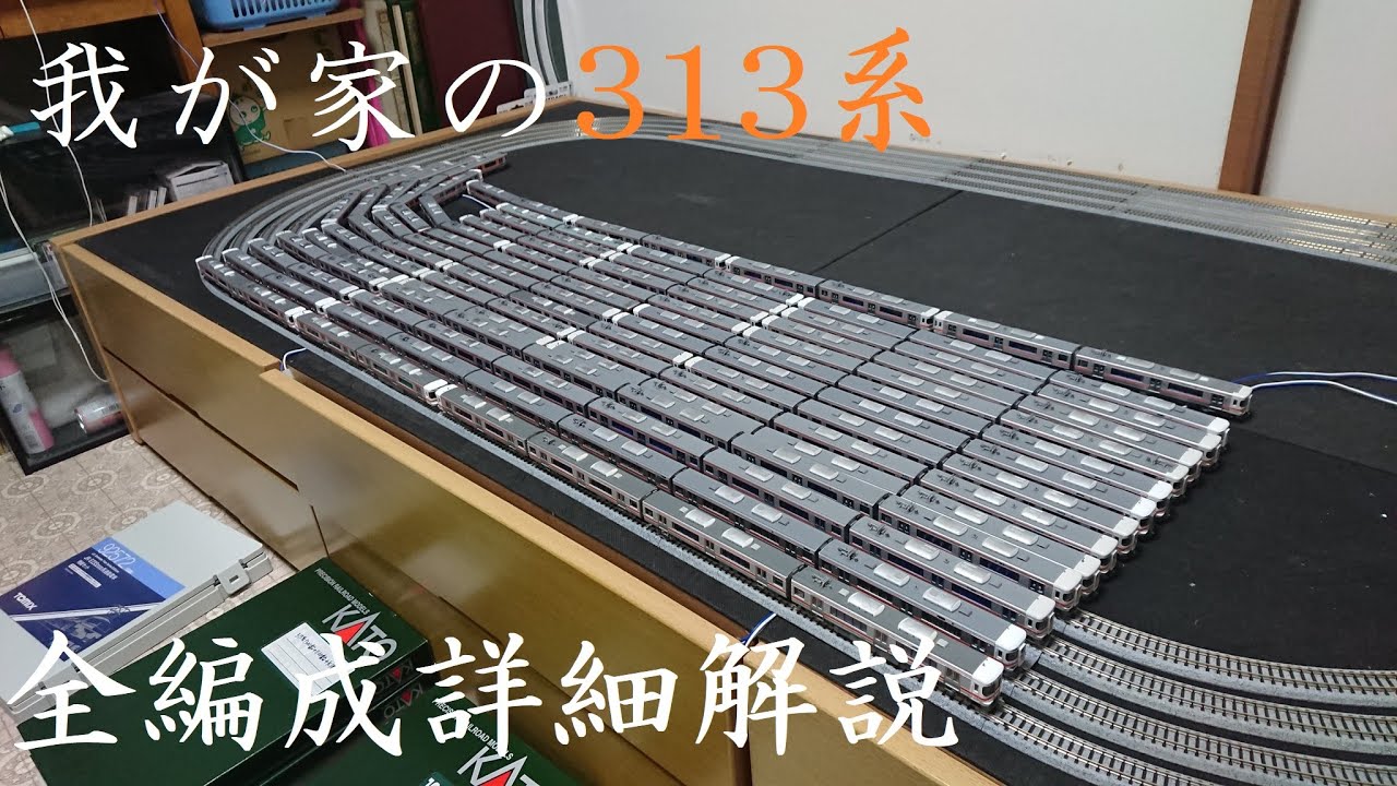 [年末動画]我が家の313系全編成どんな仕様か詳しく見る動画