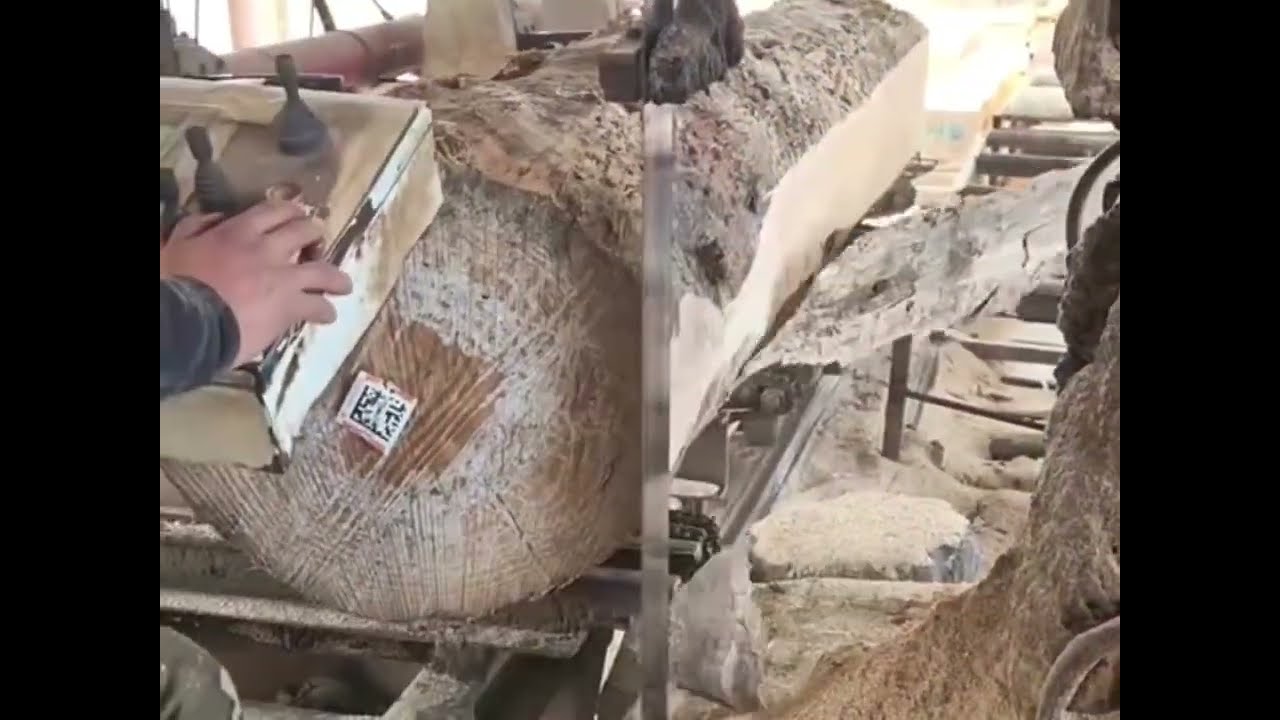 Precision Woodcutting Process | Bandsaw Machine