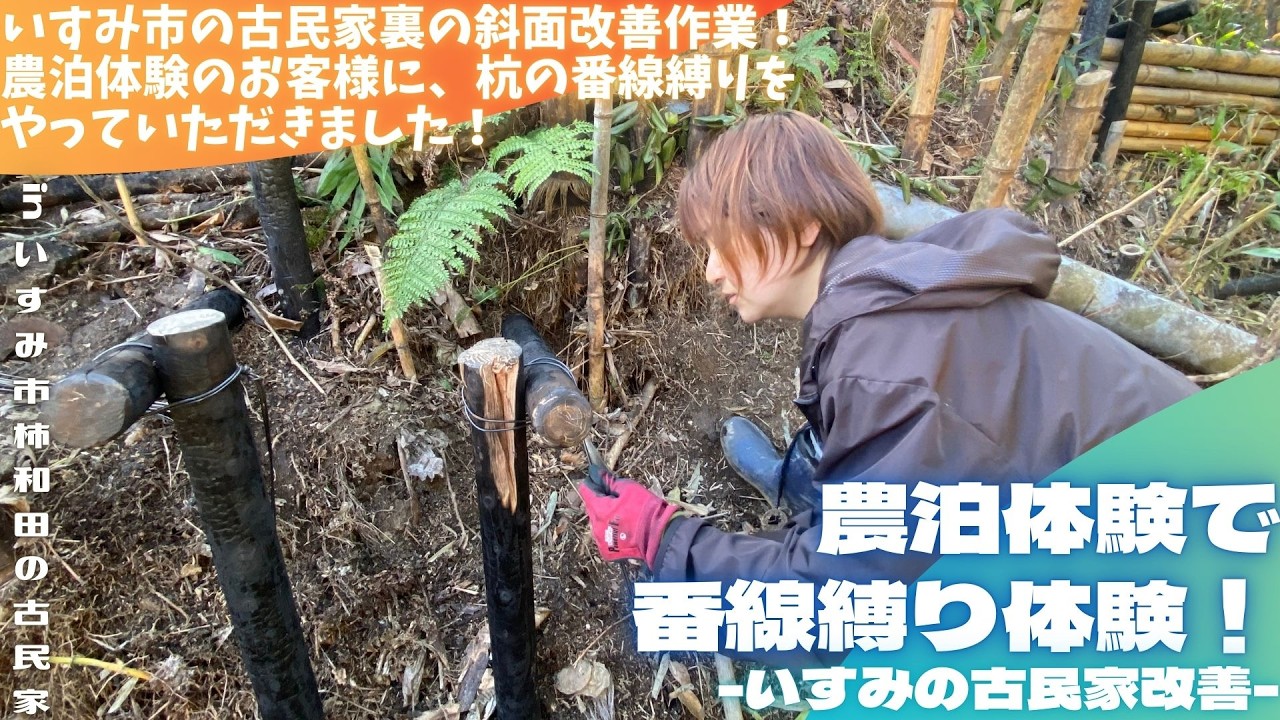 農泊体験で番線縛り体験！ -いすみの古民家改善-【里山再生・土壌改善・開拓型農業アクティビティ里山体験受付中】