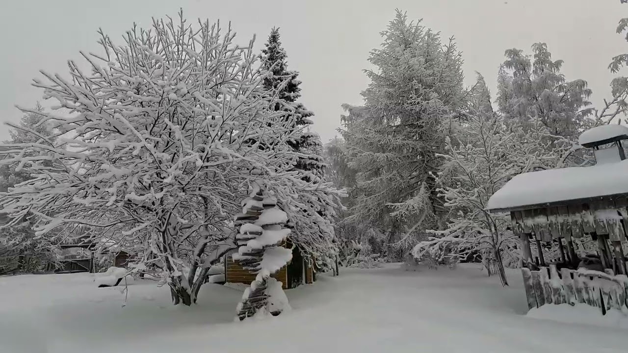 Kävin tyttöjä jututtamassa.