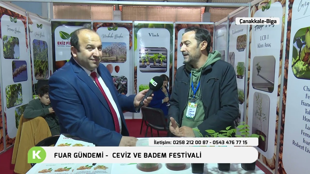 BİGA CEVİZ VE BADEM FESTİVALİ - EKİZ FİDANCILIK