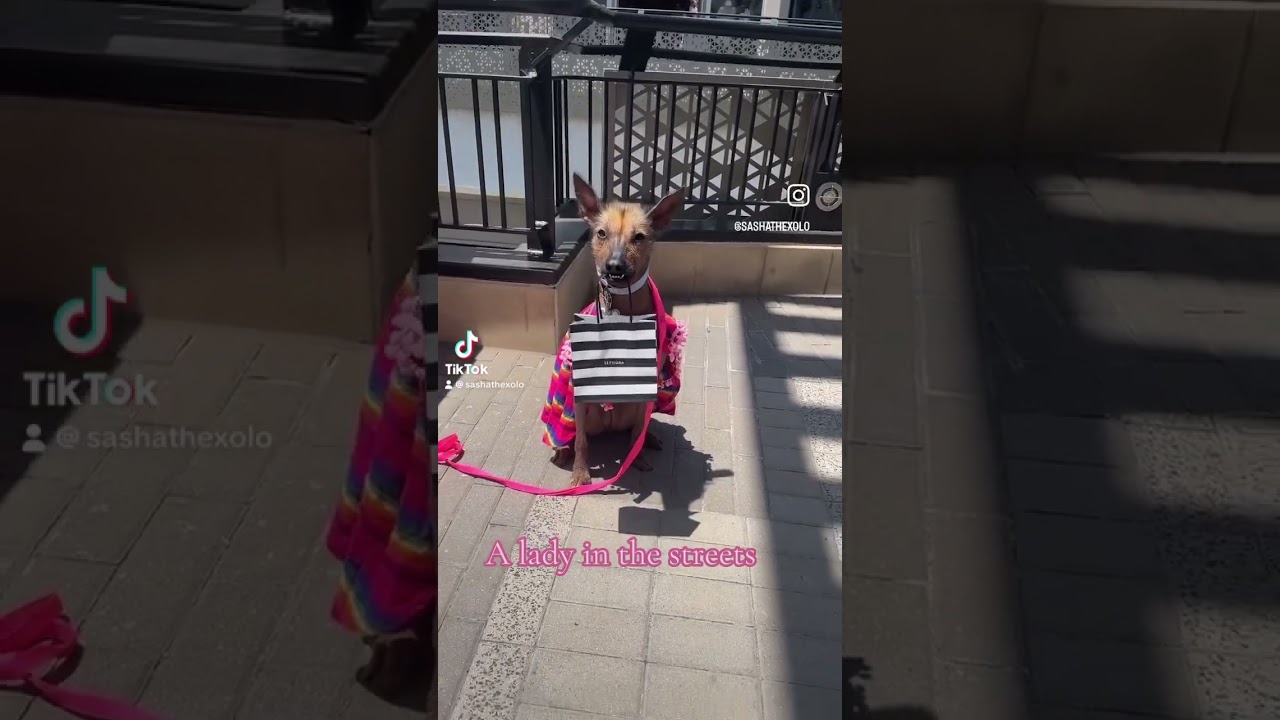 #sashathexolo