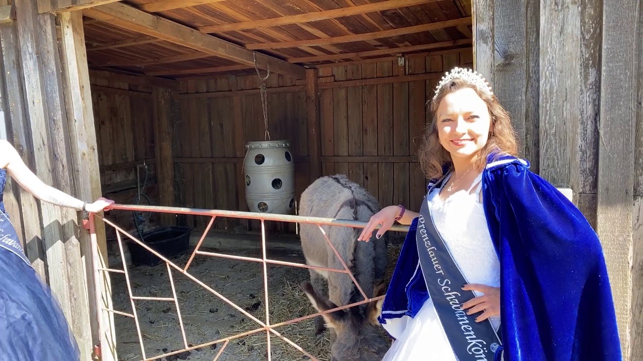 Die Schwanenk&ouml;nigin und ihre Ehrendame im Naturerlebnis Uckermark
