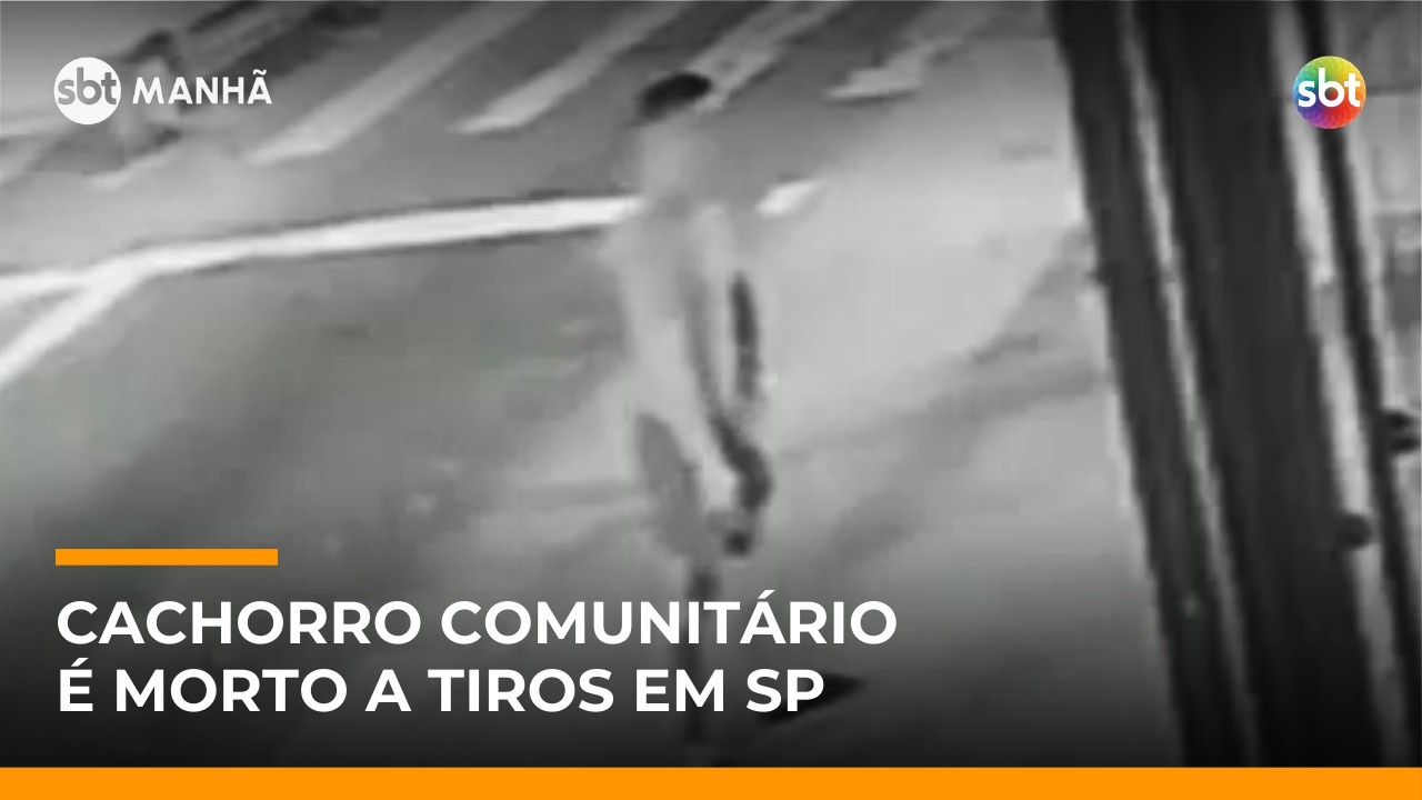 SP: cachorro comunit&aacute;rio &eacute; morto a tiros por homem que teria se irritado com latidos | #SBTManh&atilde;