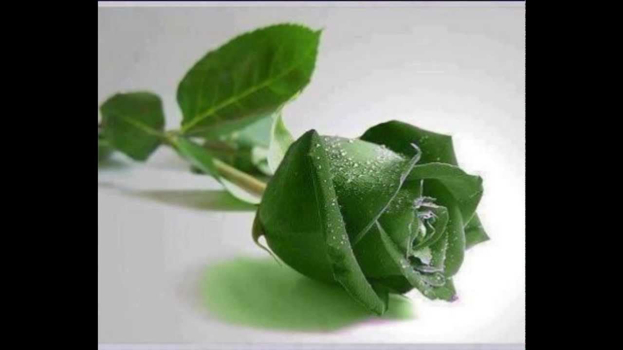 Todo me gusta de ti -Jerry Legrand- wmv