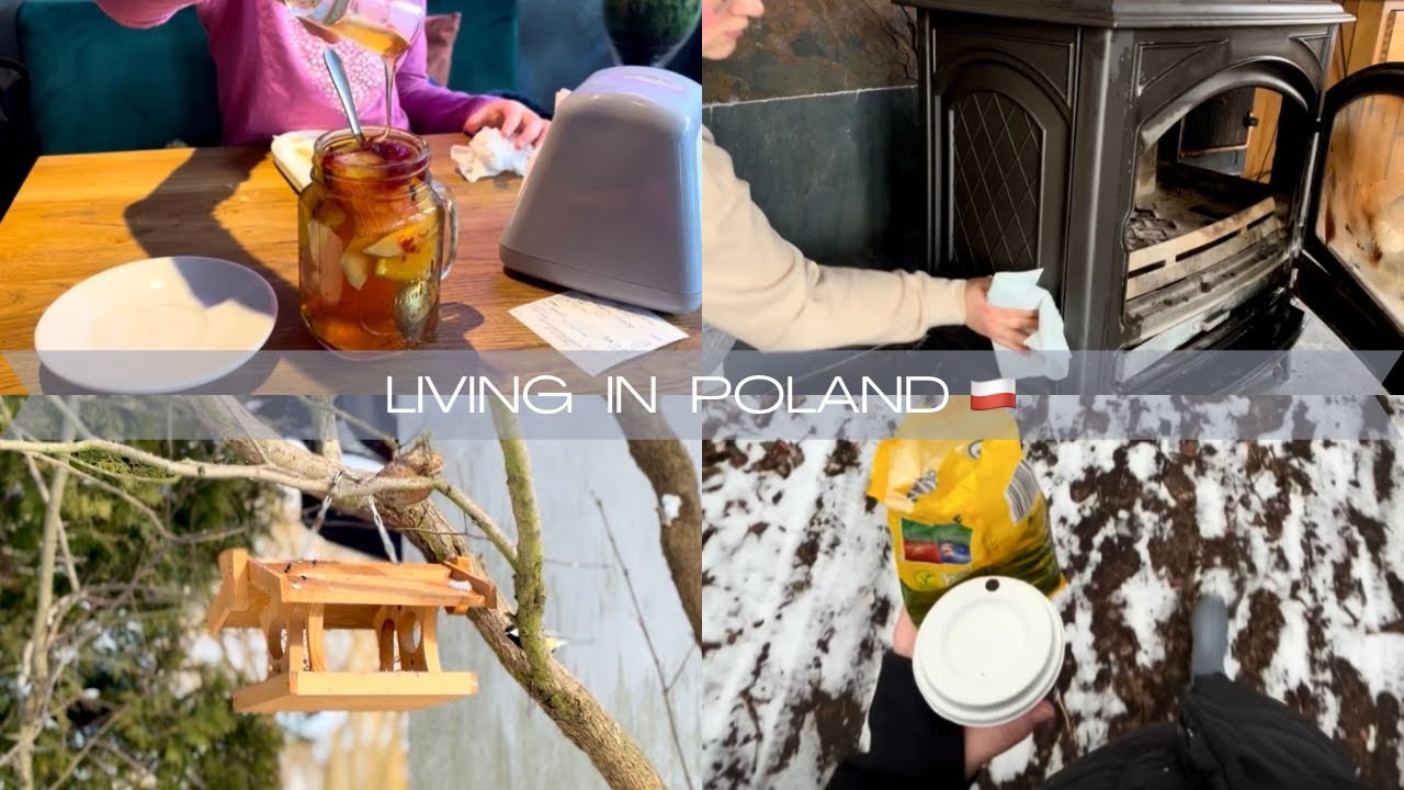 Slow living in a small Polish town | Winter walks, homemade bird food recipe & Clean with me