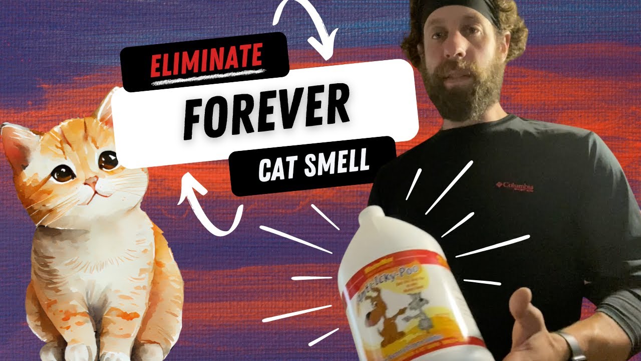 Stubborn Cat Pee Smell? Clean, Neutralize & Eliminate FOREVER!