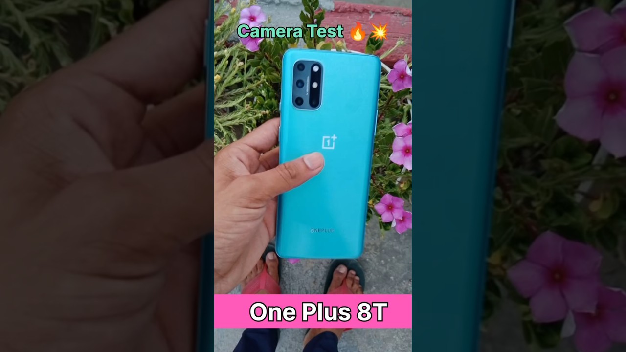 One plus 8t camera test 💥🔥 one plus mobile camera test 💥👑 one plus 8t Price  24,999 #shorts #oneplus