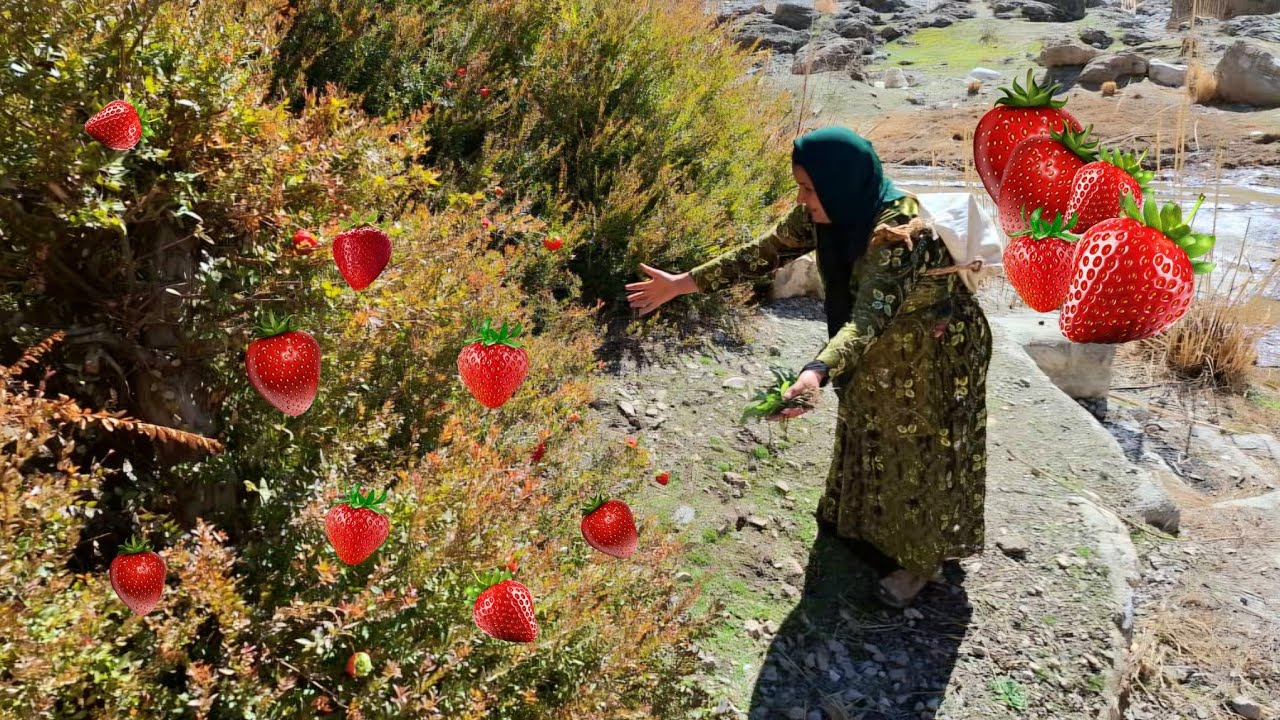 Inspiration from the Zagros: A single mother seeks to save her children in the Zagros Mountains