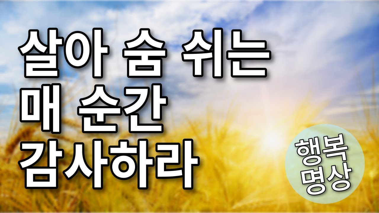 인생을 바꾸는 감사의 힘 - 마음의 평온과 풍요를 가져오는 법