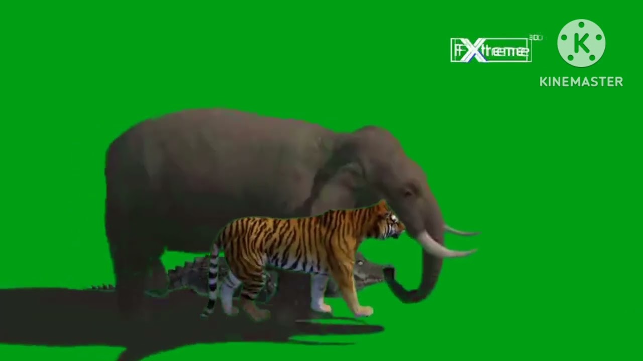 asian animals are running
