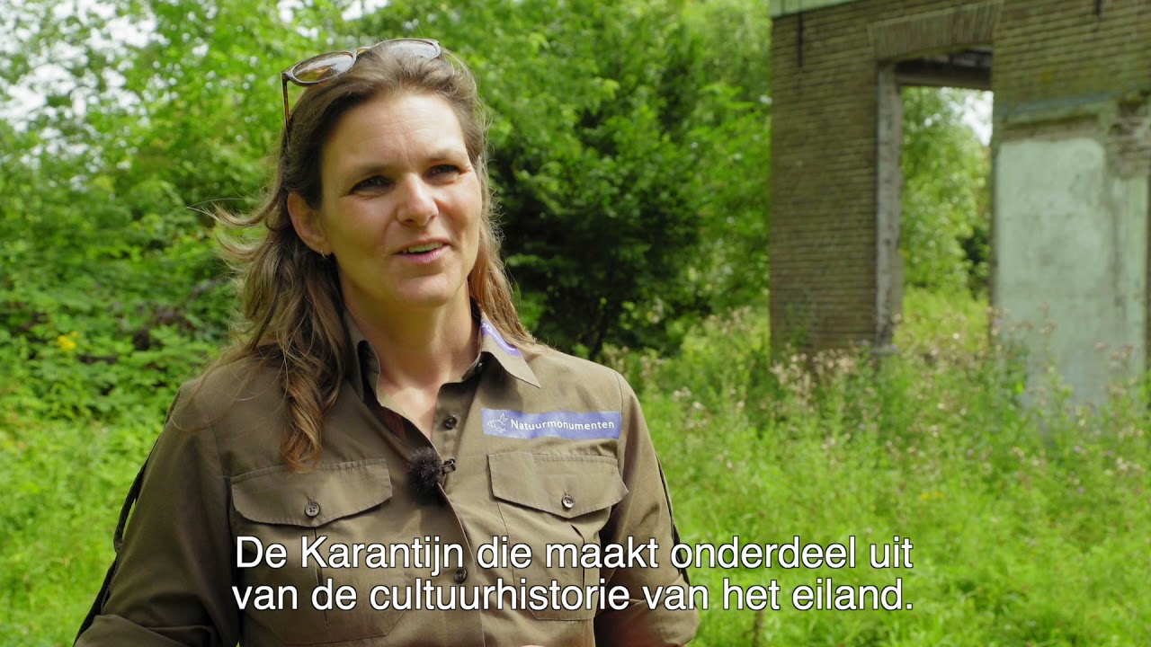 Tiengemeten in de zomer