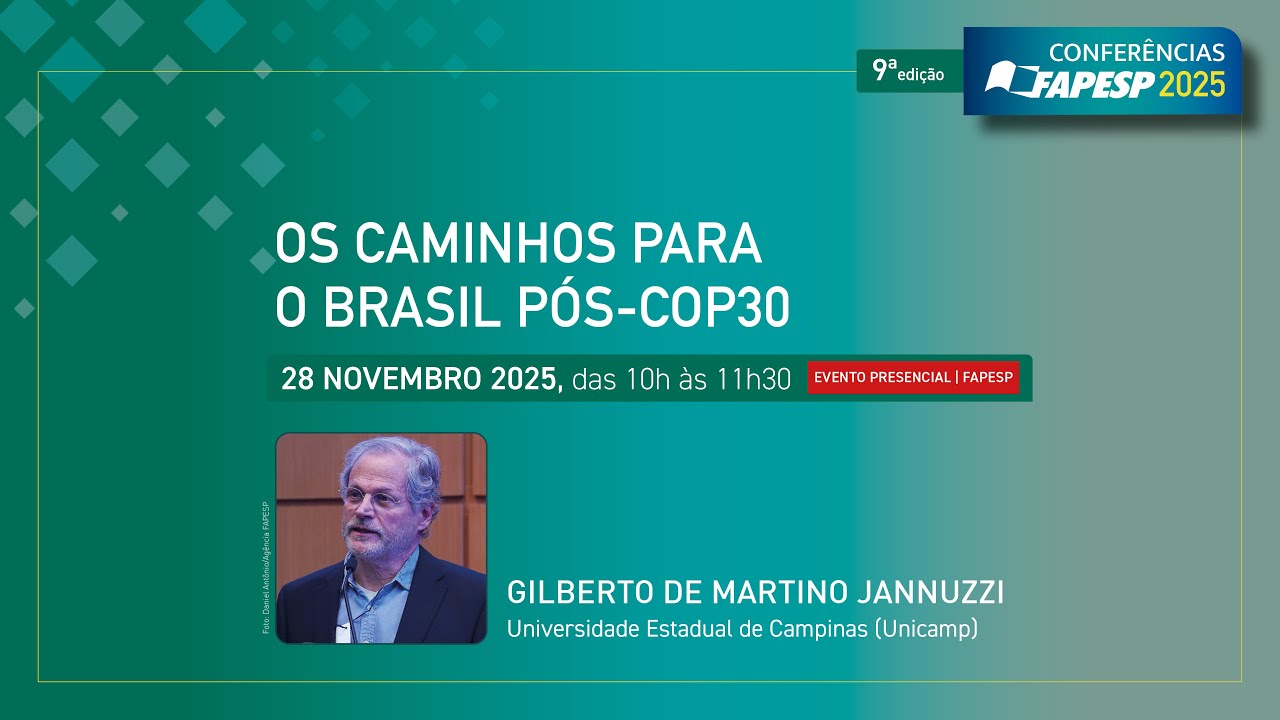 Os Caminhos para o Brasil Pós-COP30