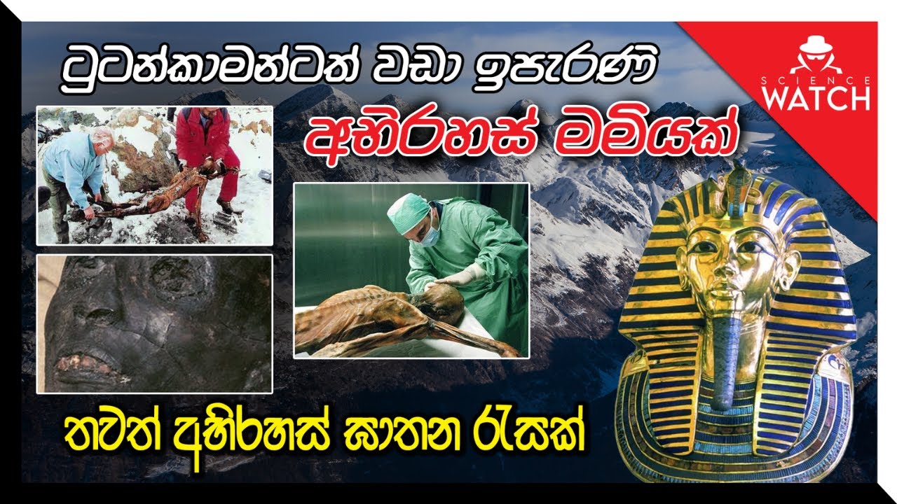 ටුටන්කාමන්ටත් වඩා ඉපැරණි මමියක් | තවත් අභිරහස් ඝාතන රැසක් #vidusara #vidusaraonline #sciencewatch