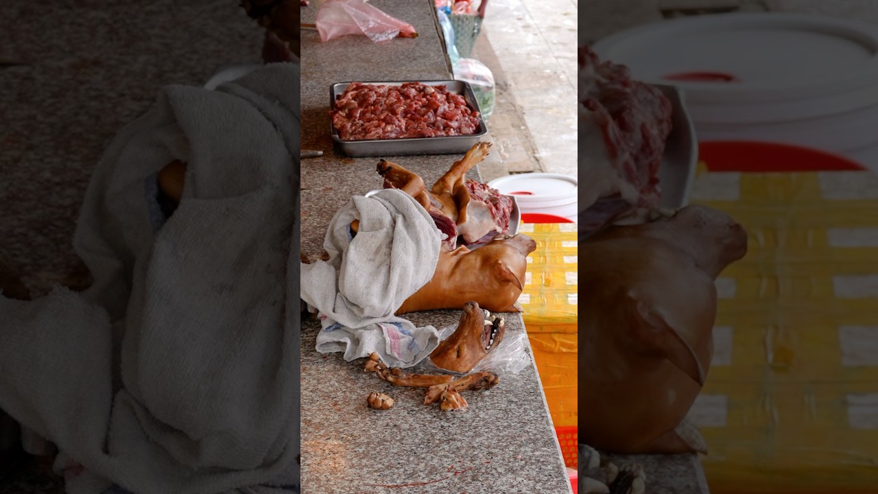 They cook dogs in this village in Vietnam #vietnam #sapa #travel