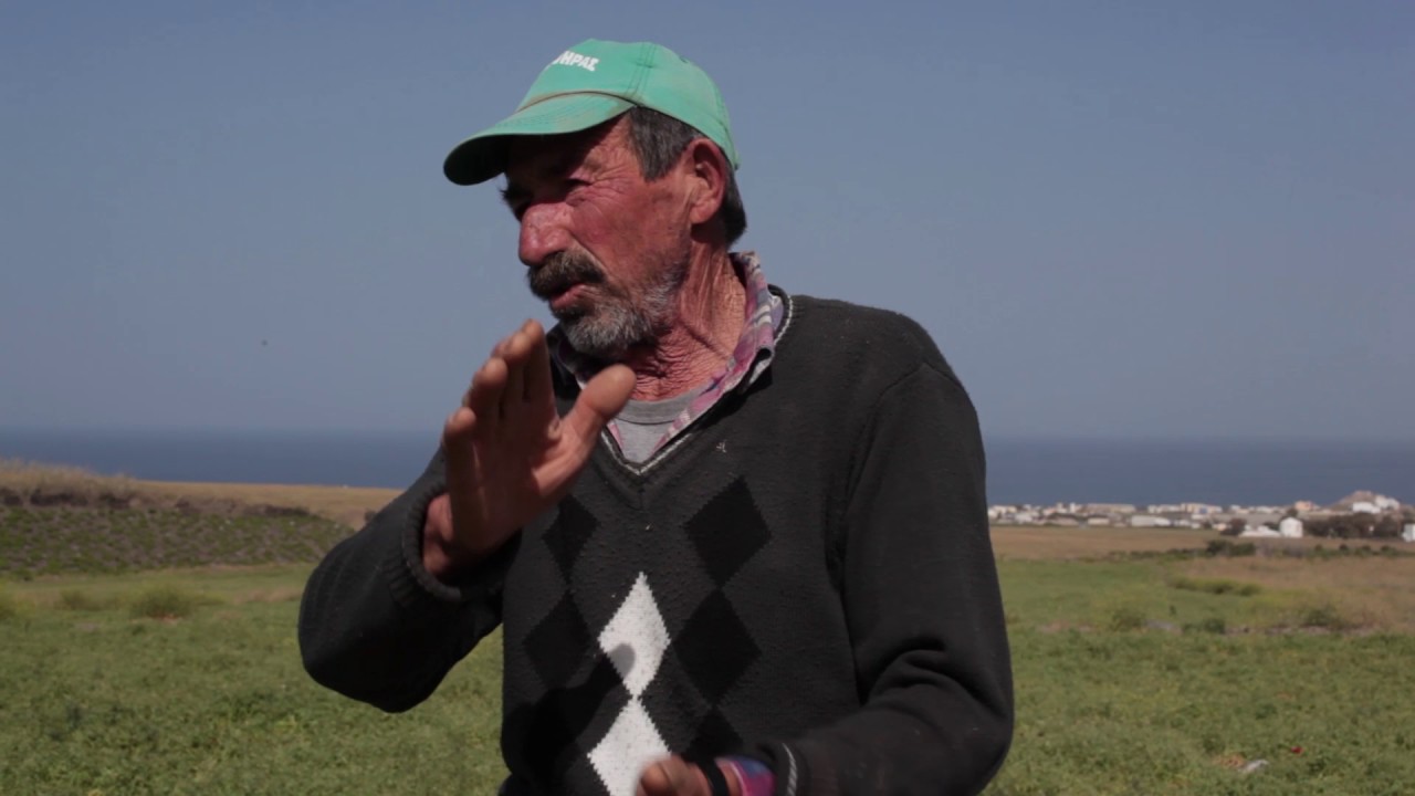 The  Santorini  Project:Giorgios Kavalaris#Santorinian fava#farmer!