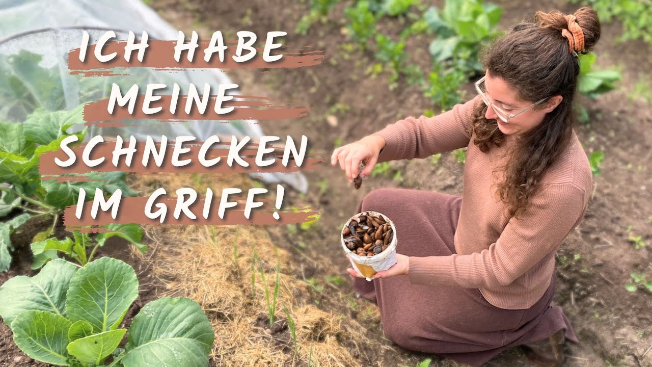 Üppiger Gemüsegarten, trotz Massenweiser SCHNECKEN 🐌🐌🐌 Meine effektiven TIPPS! 😍