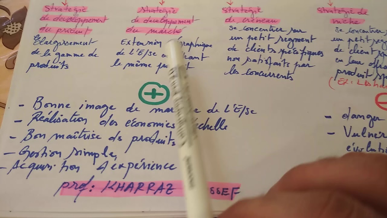 2BAC E.O.A.E les options stratégiques 