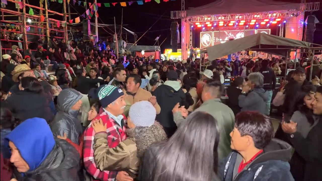 Video Cajonos está en vivo