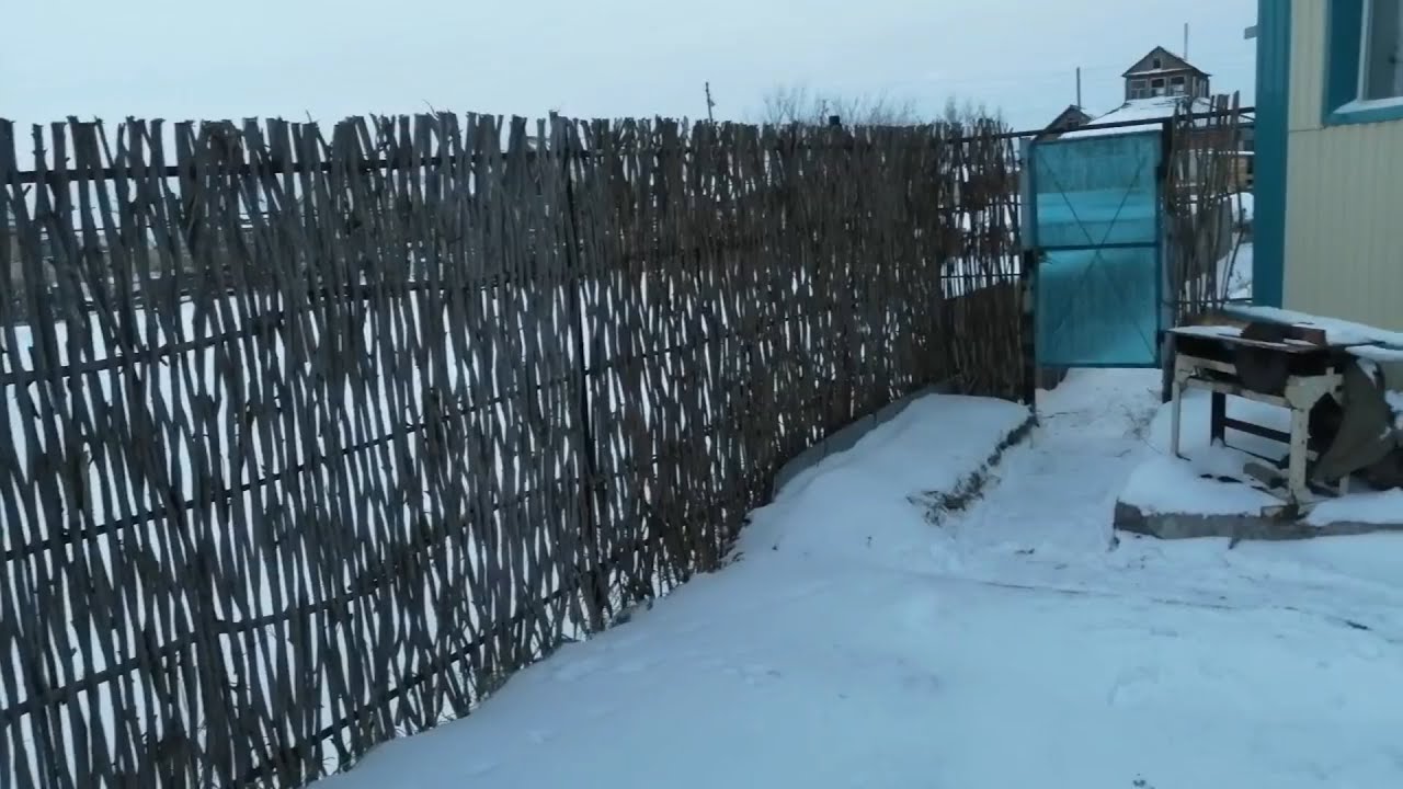 забор из ивы.плетень.