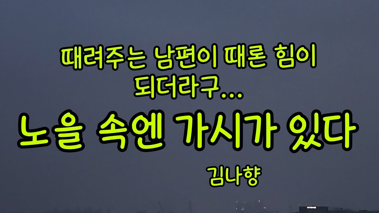 죄많은 인생, 혼자 살란다ㅣ노을 속엔 가시가 있다 - 김나향ㅣ2000강원일보 신춘문예 최종심진출작품ㅣ꿀잠을 청하는 멜라토닌 목소리ㅣ오디오북ㅣ밤을잊은그대에게