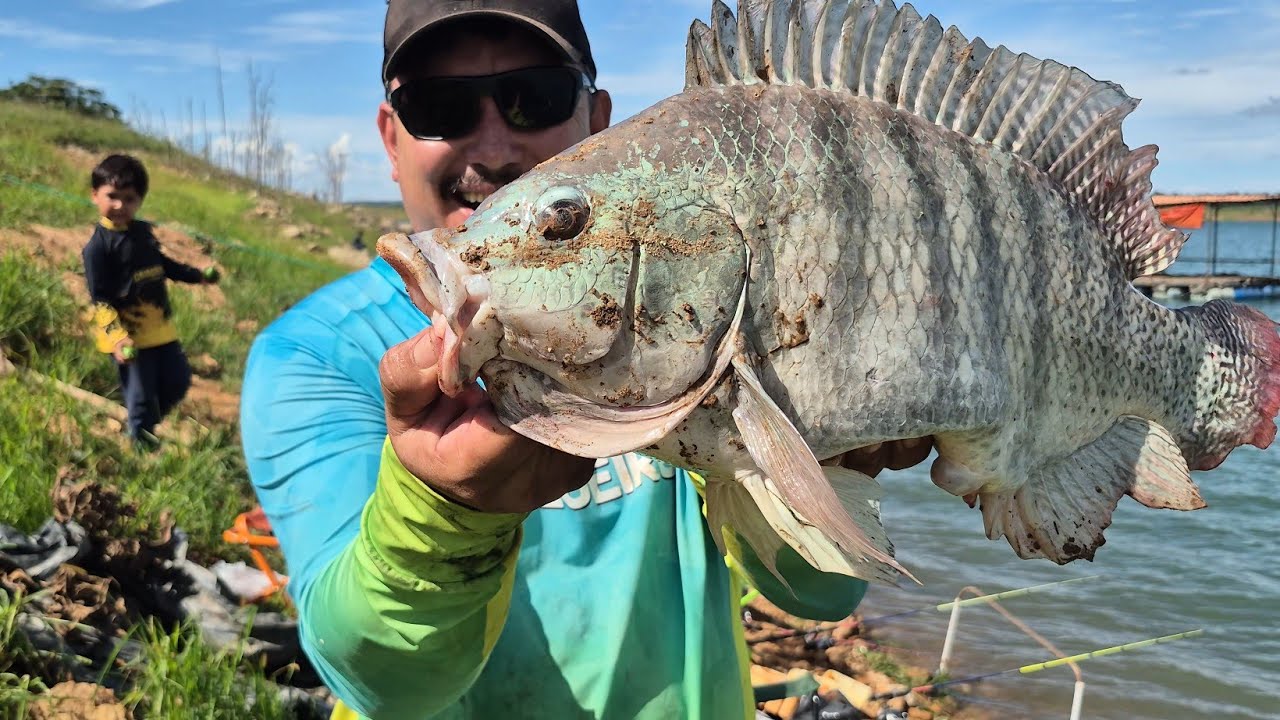Pescaria de TILÁPIAS GIGANTES de barranco, Peixe frito bom é preparado na beira do rio! 