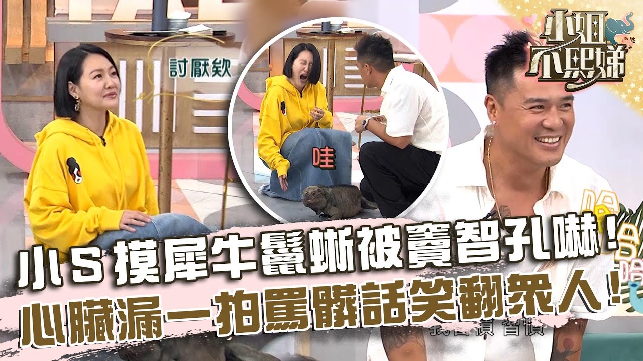 小Ｓ摸犀牛鬣蜥被竇智孔嚇！心臟漏一拍狂罵髒話眾笑翻！【#小姐不熙娣】20240927 EP656 Part1 竇智孔 柯有倫
