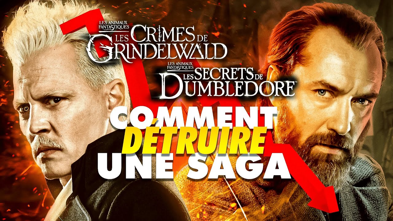 LES ANIMAUX FANTASTIQUES ne pouvait PAS marcher | #harrypotter