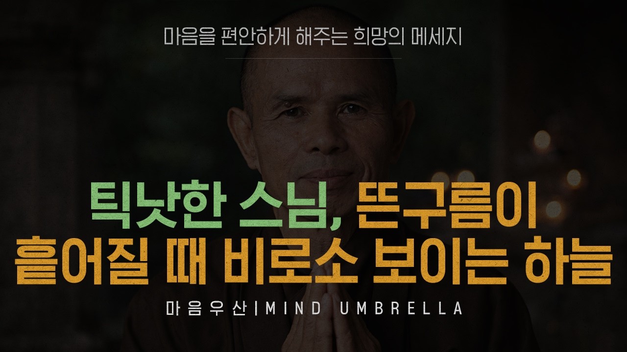 뜬구름이 흩어질 때 비로소 보이는 하늘, 틱낫한 스님