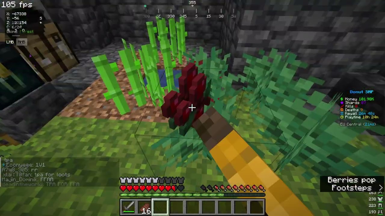looking for a rommmate/teammate/tenant on the donutsmp on java