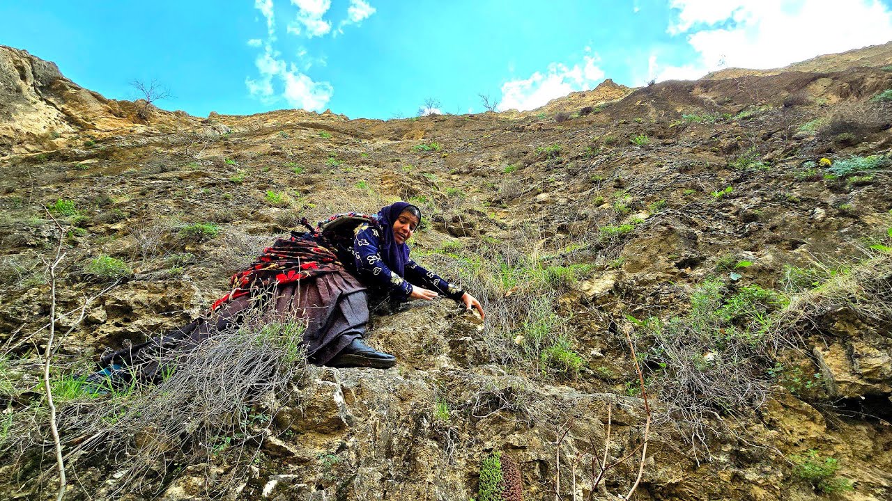 Mountain Woman: Traversing a Difficult Path for a Medicinal Plant