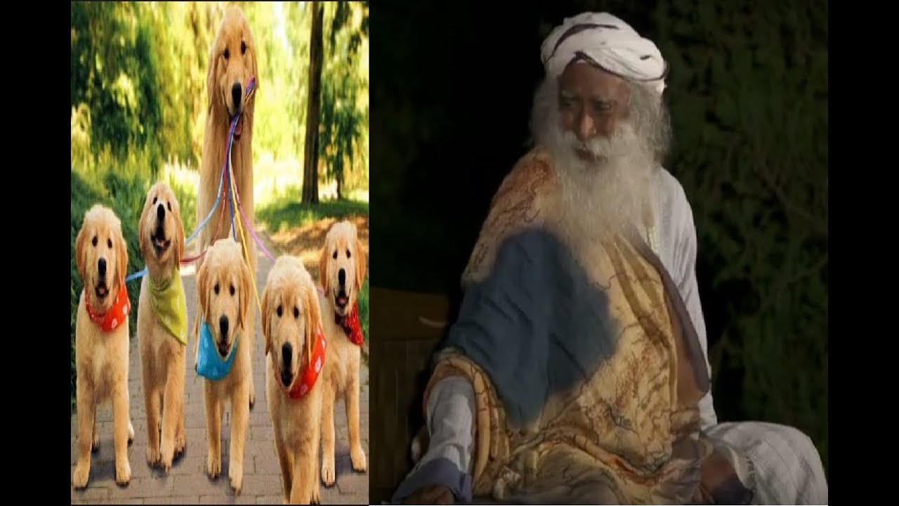 Sadhguru on Guru Dog | Story about people who destroyed the WORLD | Rally For Rivers
