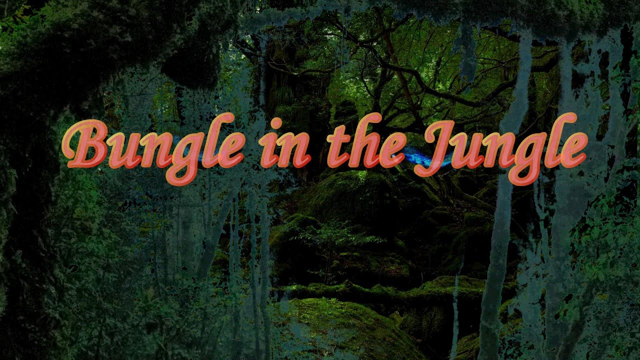Bungle in the Jungle