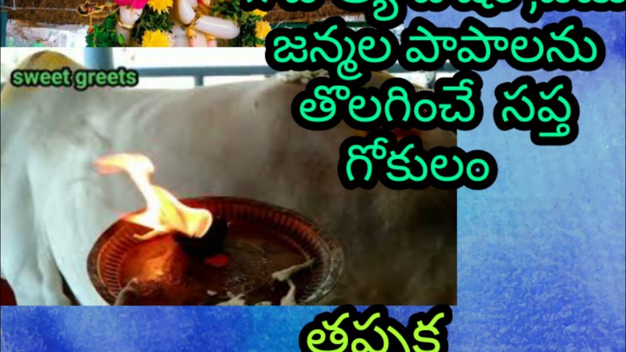 Saptagokulam in Srikalahasti|| Gomatha pooja  at srikalahasthi